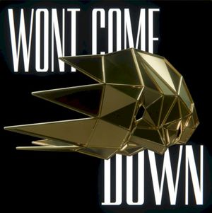 Won't Come Down (Single)