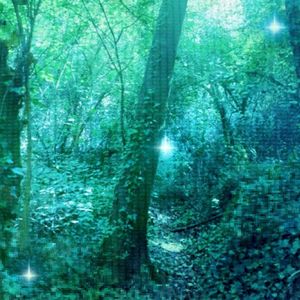 dovewisp (Single)