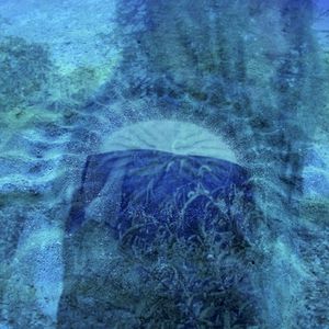 feel like, nevermind (Single)