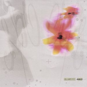 Auf Log (Single)