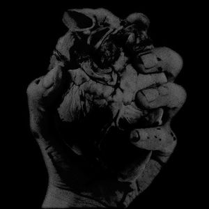 Compressed Heart Echo (EP)