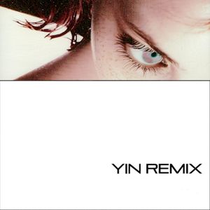 YIN REMIX (Single)