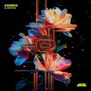 Sleeping (Single)
