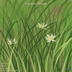 Summer Breeze (Single)