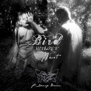 Bird W/O Nest (Single)