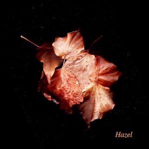 Hazel (Single)