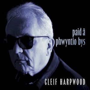 Paid â Phwyntio Bys (Single)
