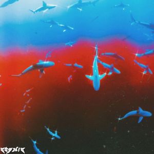 BEAM (Single)