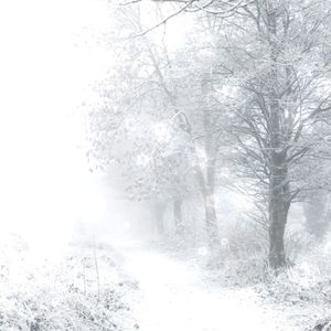 snow (Single)