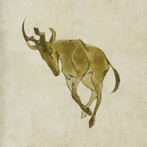Hartebeest (Single)