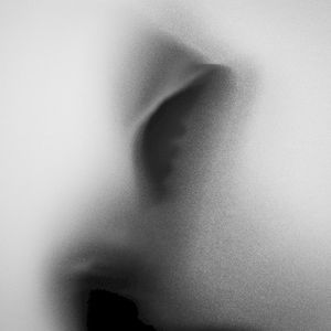 wasted shadow (Single)