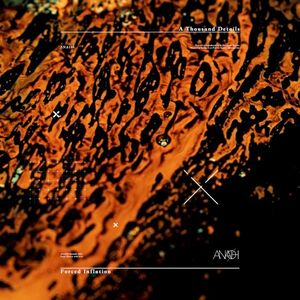 Forced Inflation (EP)