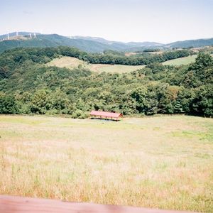おとぎ (Single)