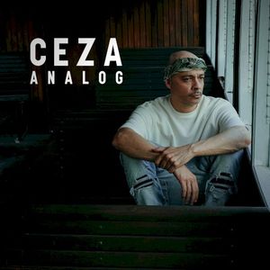 Analog (Single)