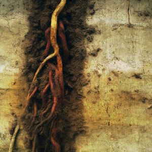 Snared (Single)