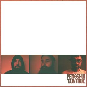 Control (Single)