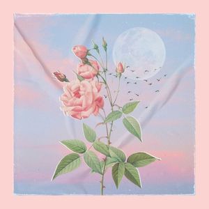 smell of a rose (Single)