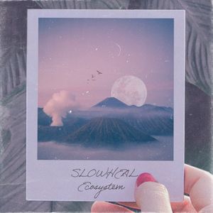 Ecosystem (Single)