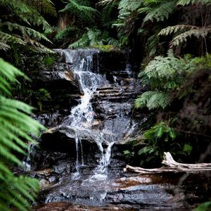 Spring Thaw (Single)