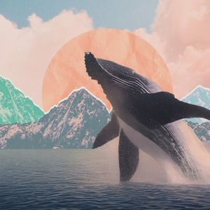 Fragments of Legacy (EP)