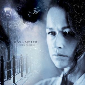 Ночь. Метель