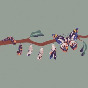 Metamorphosis (EP)