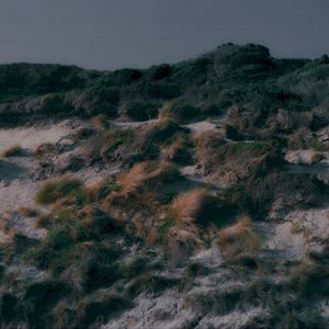 Riptide (Single)