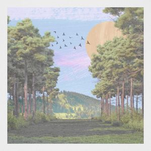 Forest (EP)