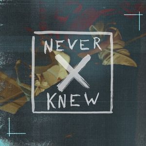 Never Knew (Single)