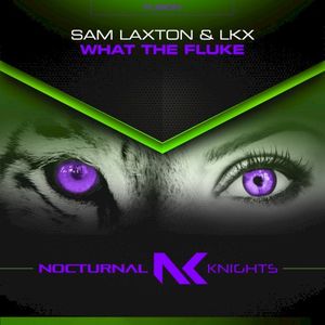 What the Fluke (Single)