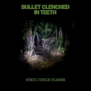 Humid Jungle Flashes