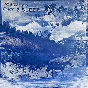 Cry 2 Sleep (Single)