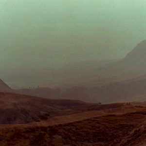 The Flow (Single)