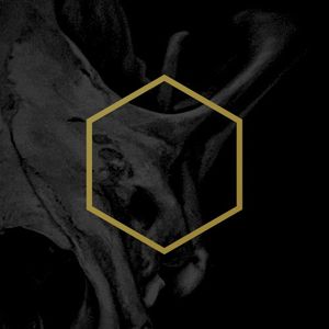 Ashen (Single)