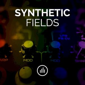 Synthetic Fields