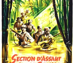 image-https://media.senscritique.com/media/000023503015/0/section_d_assaut_sur_le_sittang.webp