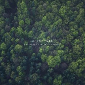 A Beginner's Guide To The Past (Single)