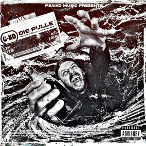 Die Pulle (Single)