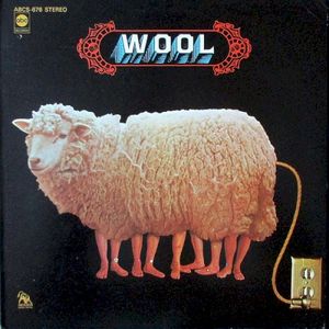 Wool