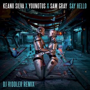 Say Hello (DJ Riddler mix) (Single)