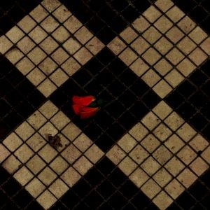 In the dark (Single)