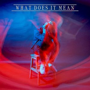 What Does It Mean (Single)