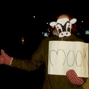 Mook