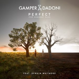 Perfect (For Somebody Else) (Single)