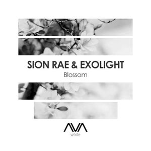 Blossom (Single)