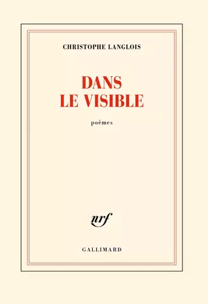Dans le visible