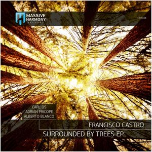 Surrounded by Trees (Single)