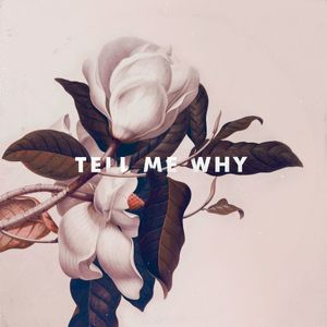 Tell Me Why (Single)