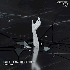 Fracture (Single)