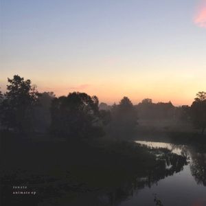 Animate (Single)